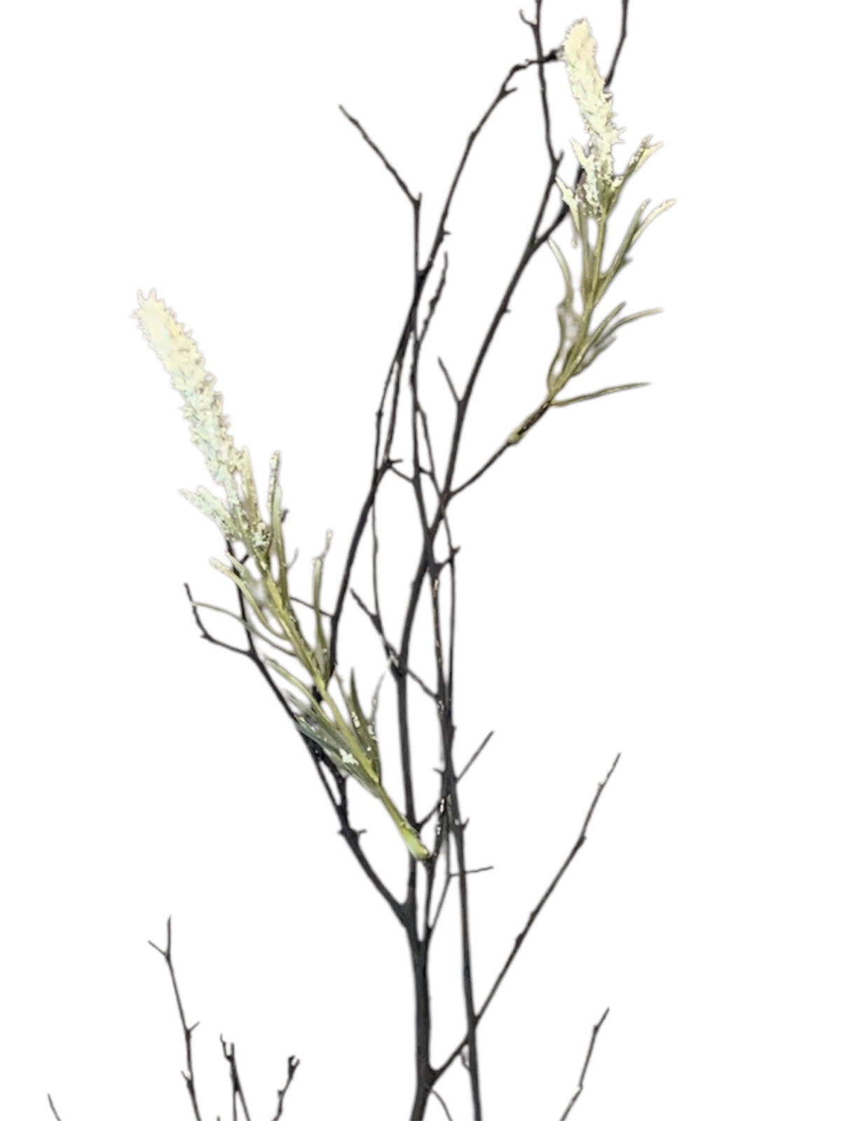 Natural Wood Branches with White Spike-Like Flowers