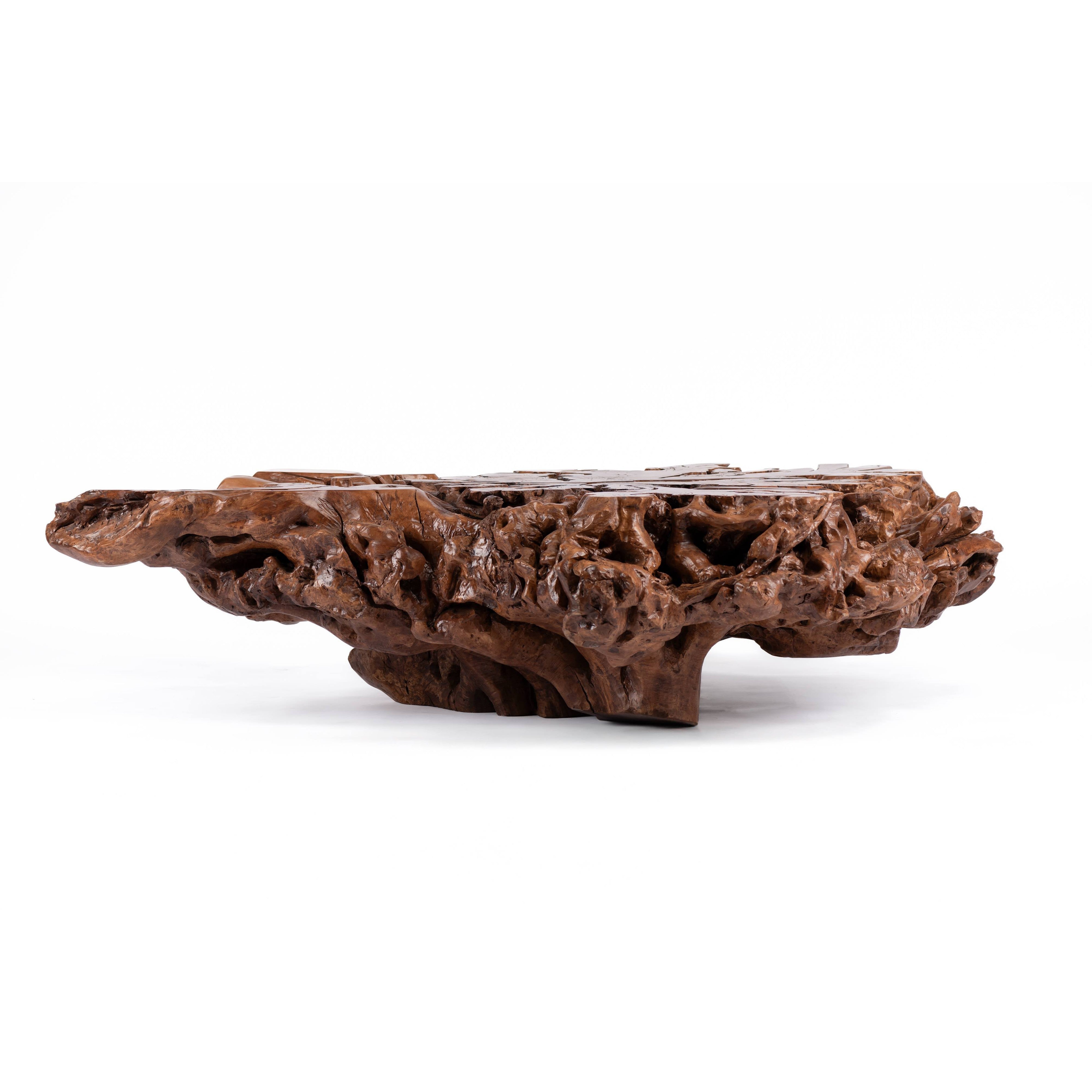 Olive Trunk Center Table-flitch and grain