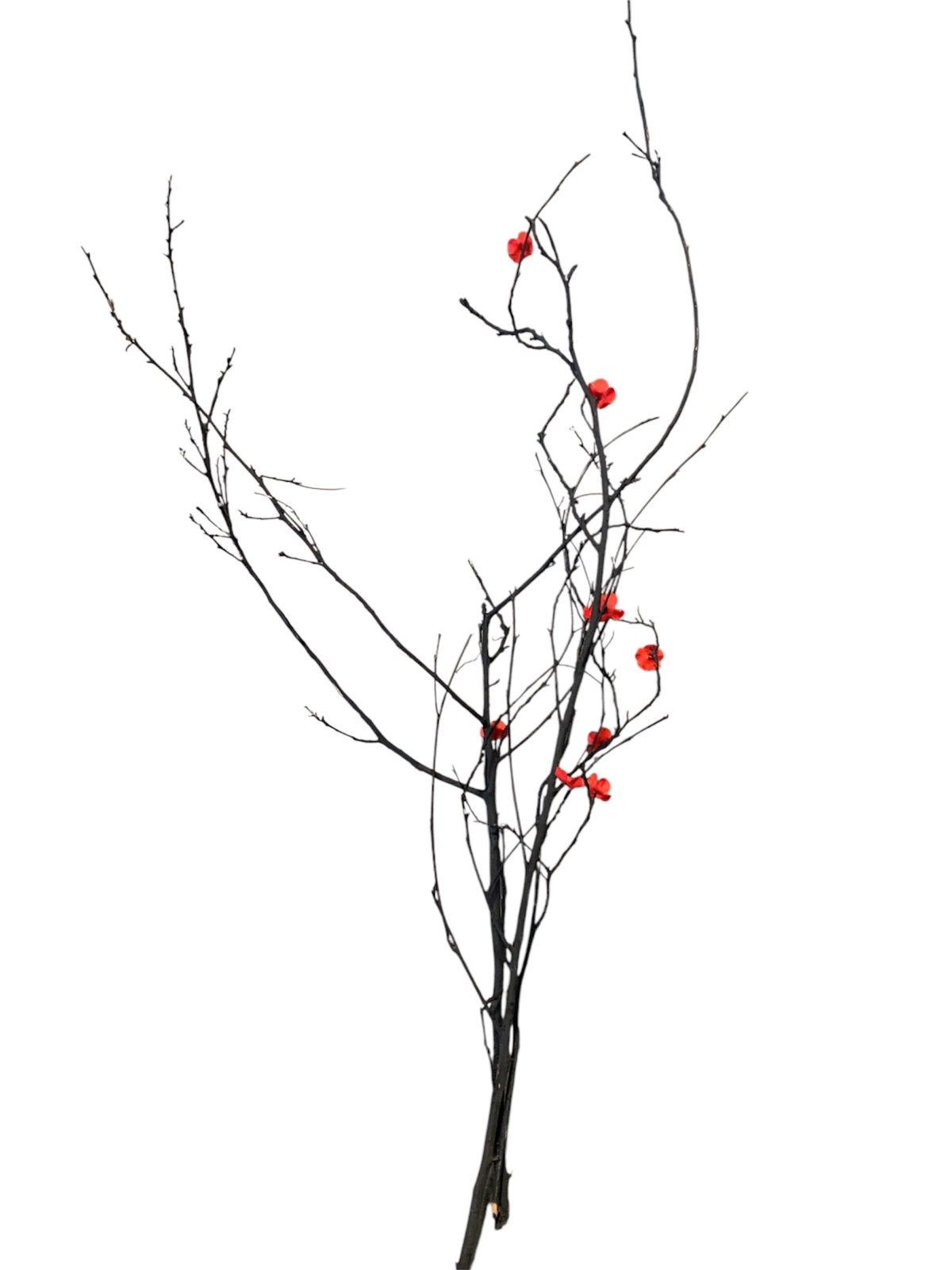 Natural Wood Branches with Small Artificial Red Roses