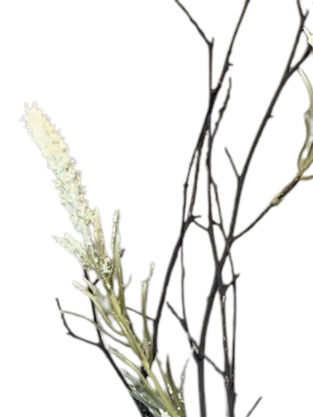Natural Wood Branches with White Spike-Like Flowers